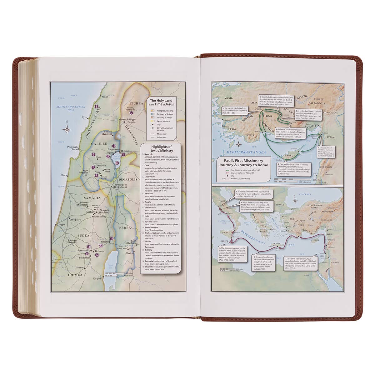 KJV Bible Giant Print Standard-size Faux Leather, Saddle Tan