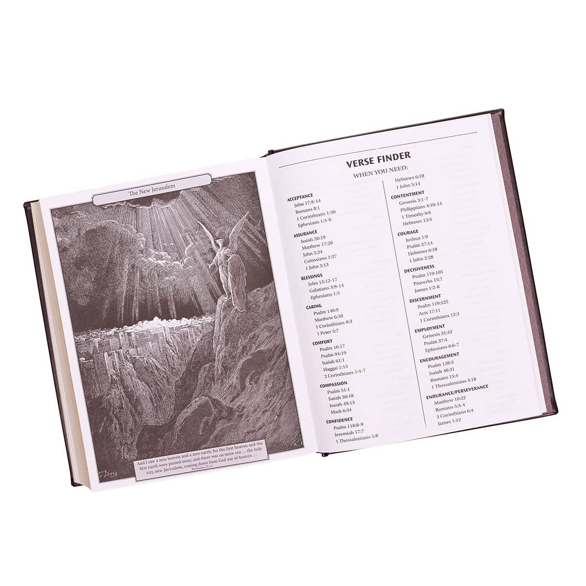 KJV Family Bible Faux Leather Padded HC, Dark Brown