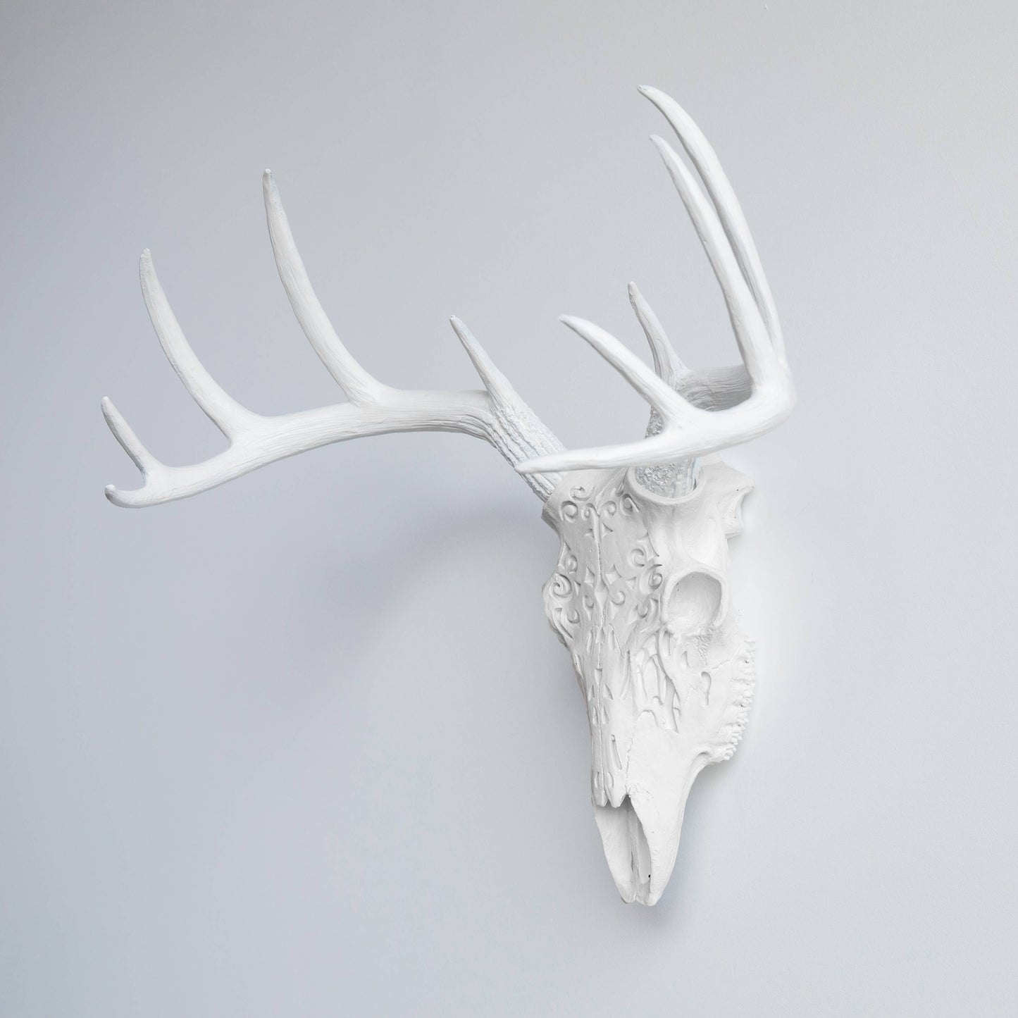 Decorative Carved Deer Skull Wall Mount