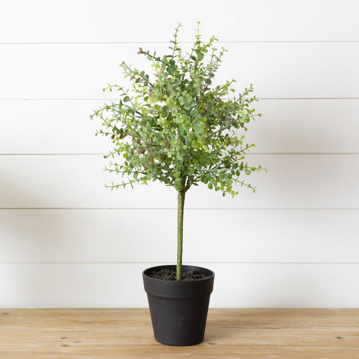 Faux Potted Herb Topiary (PC)