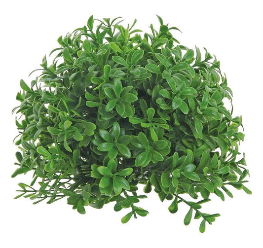 Boxwood Pot Dome, 6", Green,