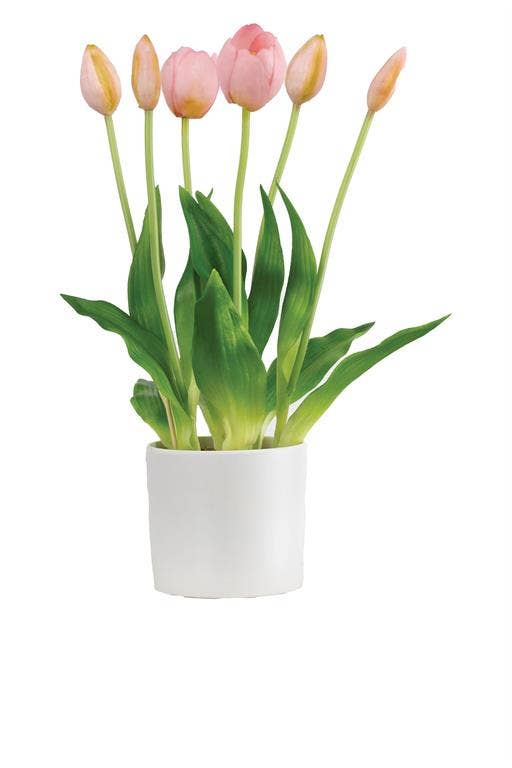 Tulip in Pot 9"X9"X13.5" Pink