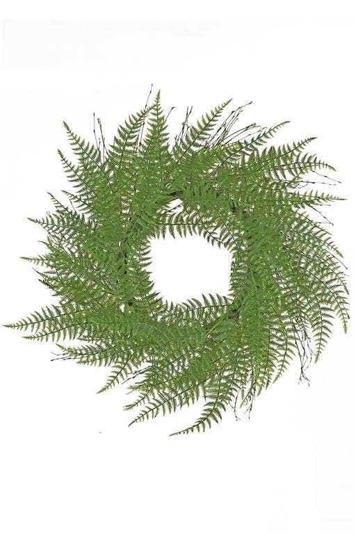 Fern Wreath With Twigs, 24", Tt/Green